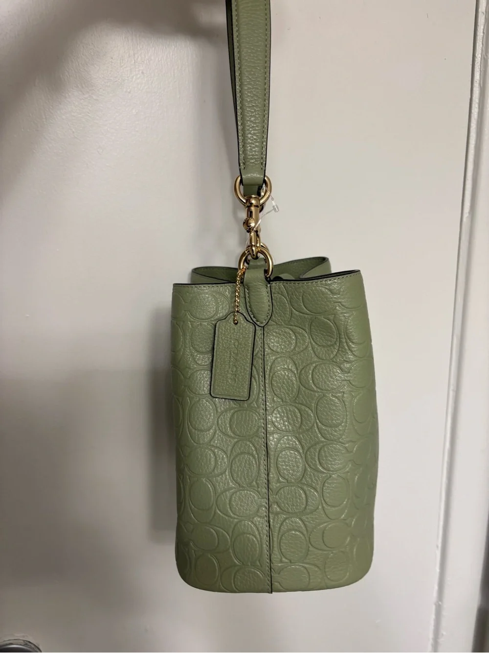 Coach  pistachio Sage Green Pebbled Leather Drawstring Bucket Bag
